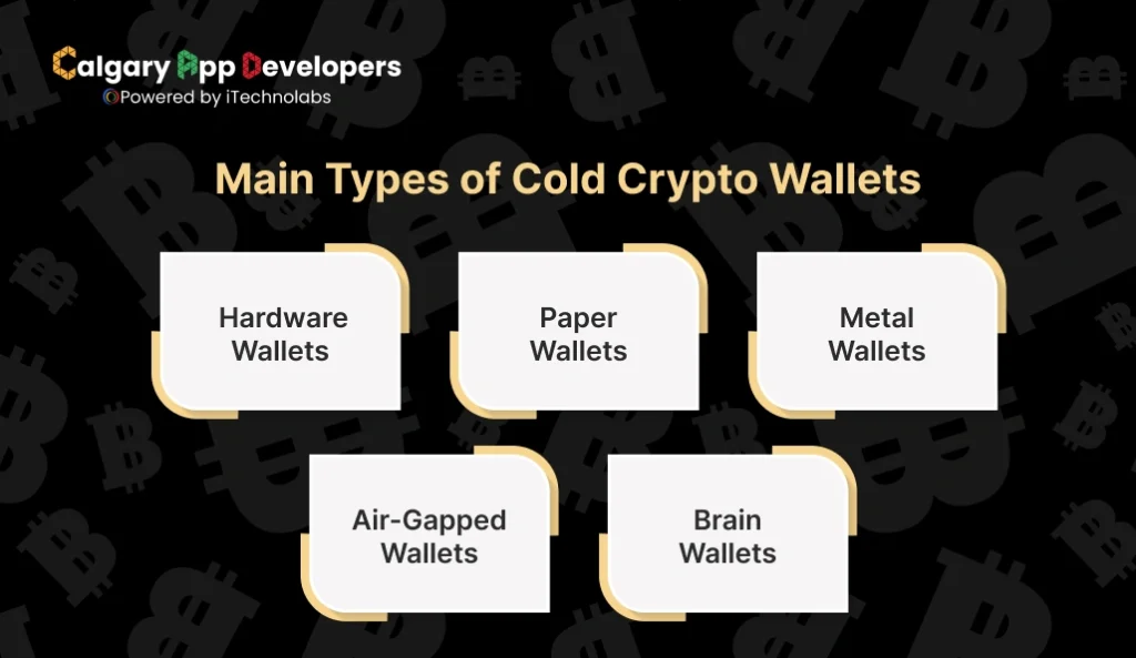 Main Types of Cold Crypto Wallets - - Calgary App Developer