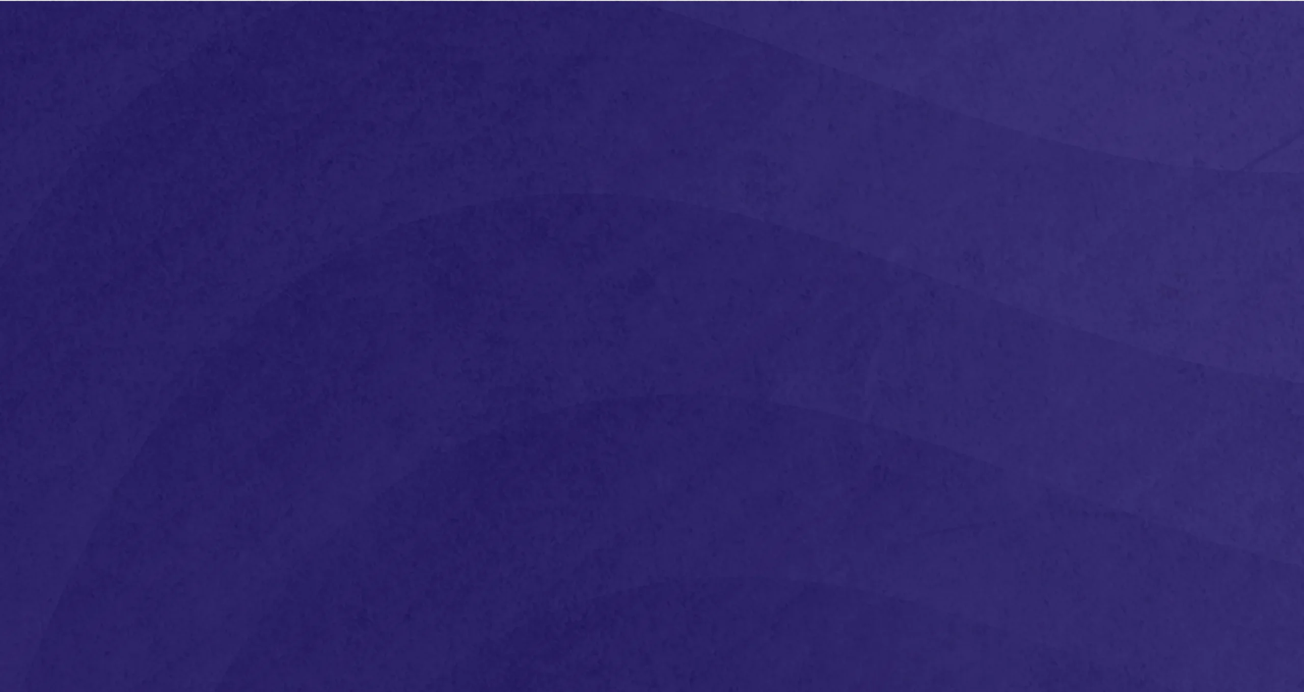 Hire No Code Developers